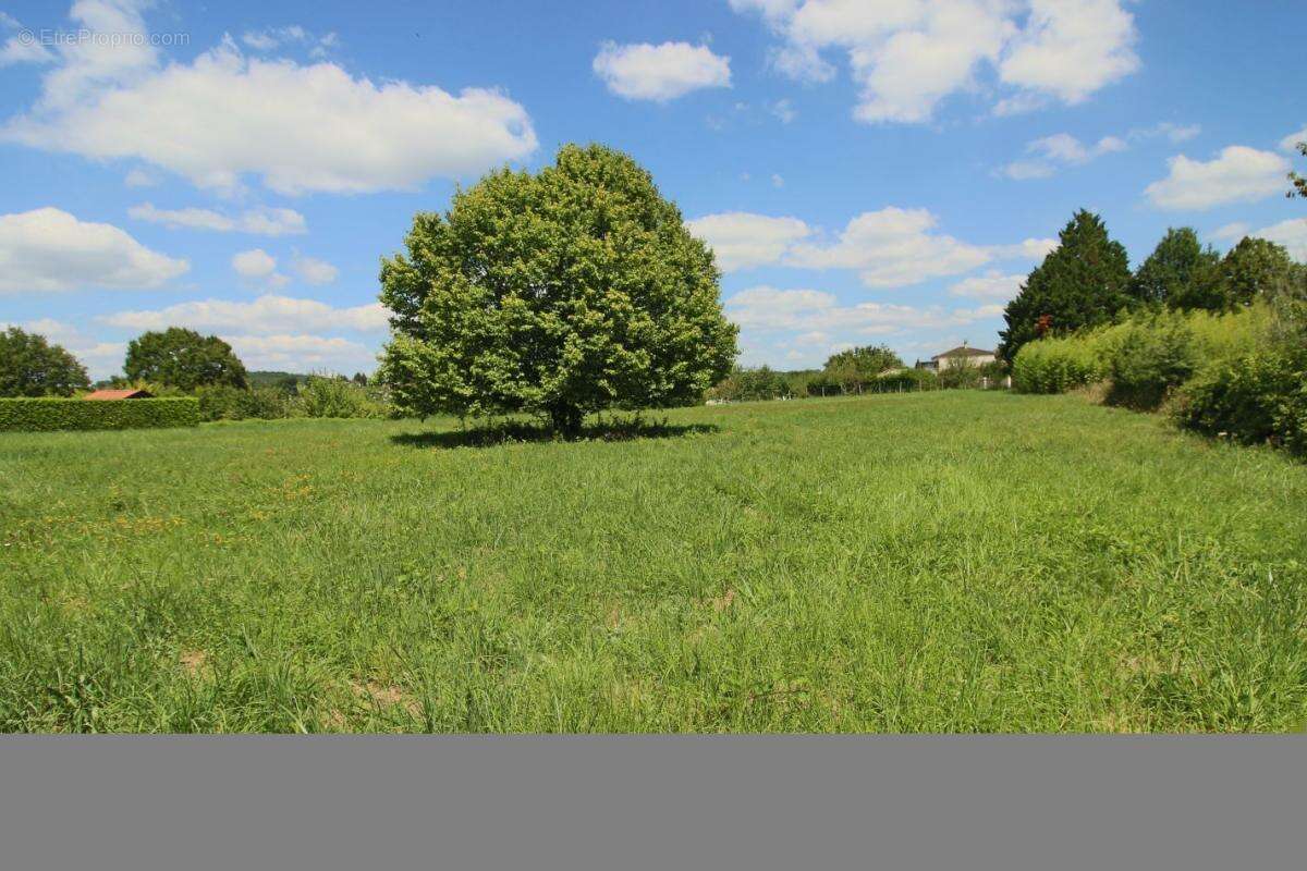 Terrain à PUY-L&#039;EVEQUE
