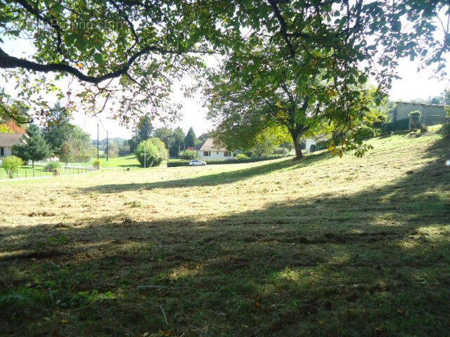Terrain à SAINT-SORNIN-LAVOLPS