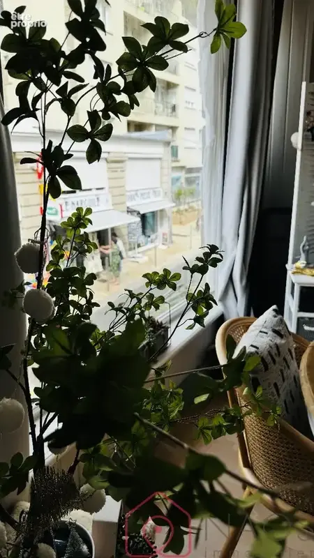 Dinard ,loft de 42 M2 en plein coeur ville ,plage à 100 M - photo 13