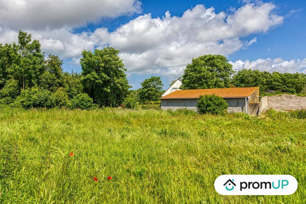 Terrain à OYE-PLAGE