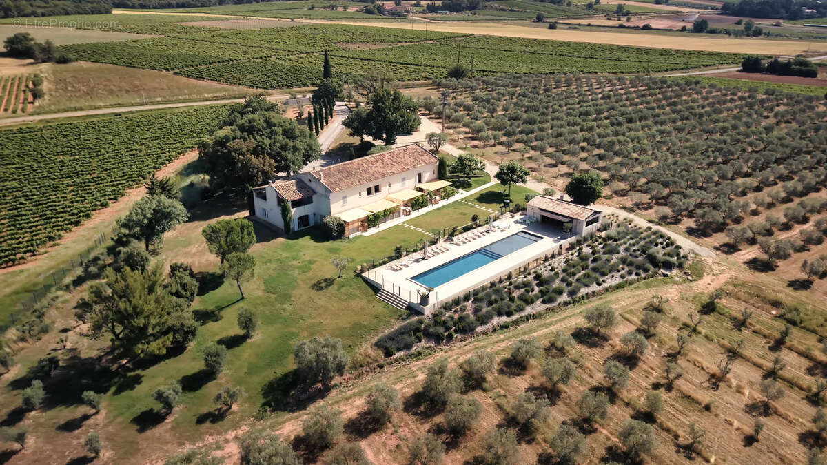 Domaine d'exception au cœur du luberon   oliveraie, chênes truffiers & activité touristique clé en main - photo 5