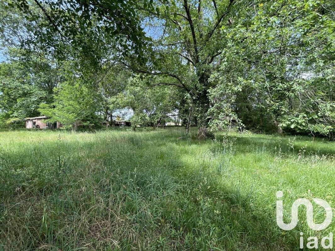 Photo 3 - Terrain à MIOS