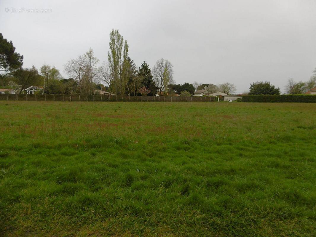 Terrain à LANGON