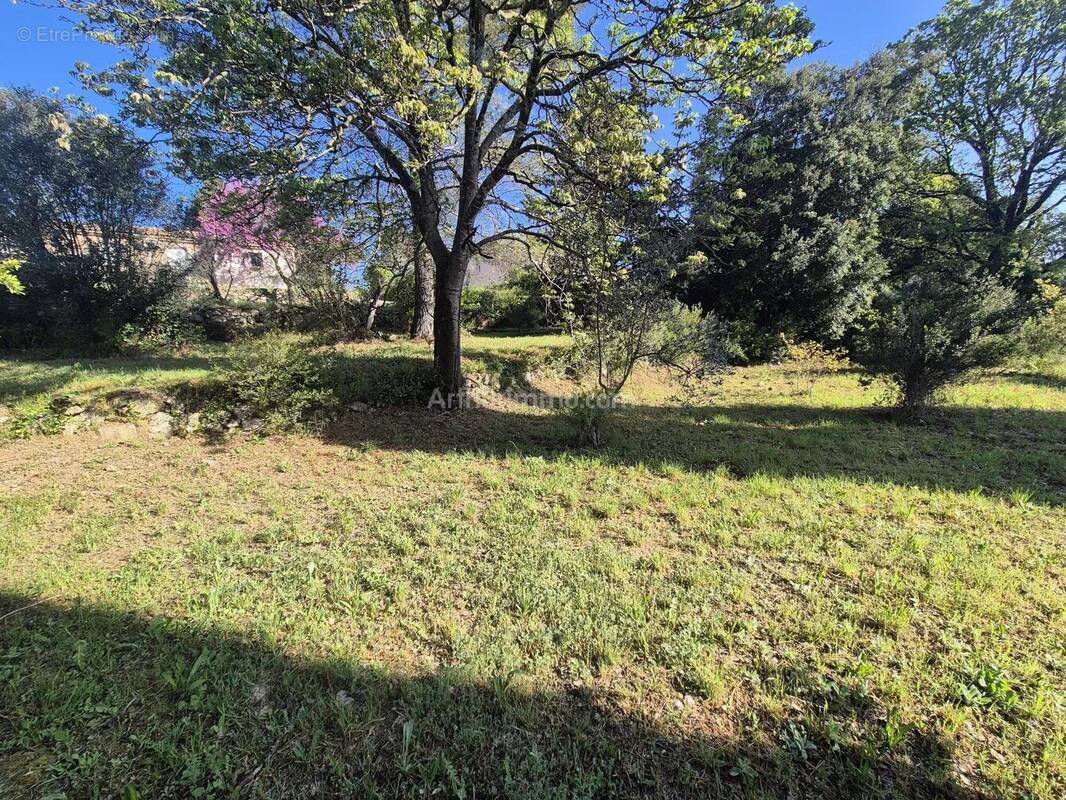 Terrain à DRAGUIGNAN