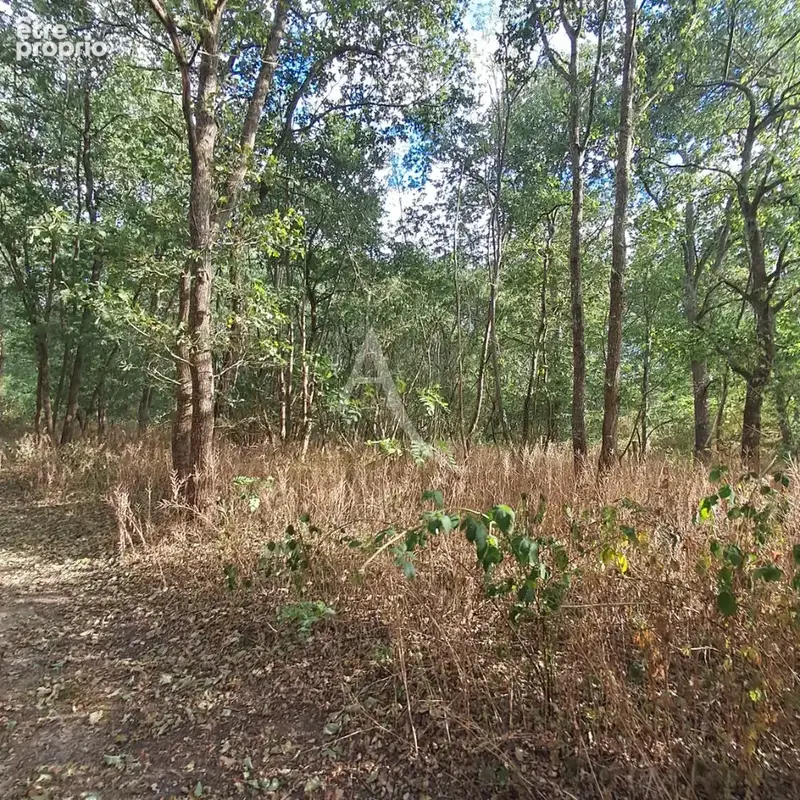 Une propriété d'exception avec parc, piscine et terrain de tennis privé - photo 16