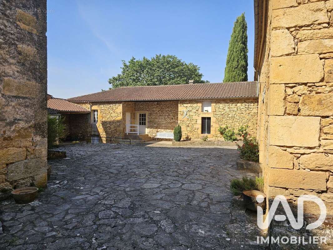294 m² à Condezaygues  - photo 5