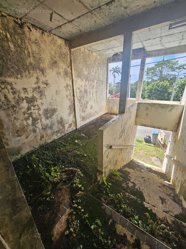 Commerce à FORT-DE-FRANCE