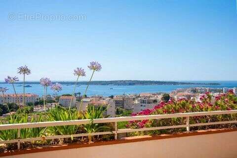 Appartement 120 m² à Cannes  - photo 3
