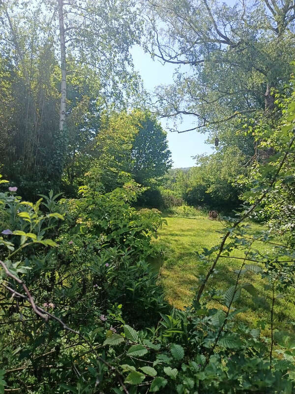 Maison  au calme - photo 12
