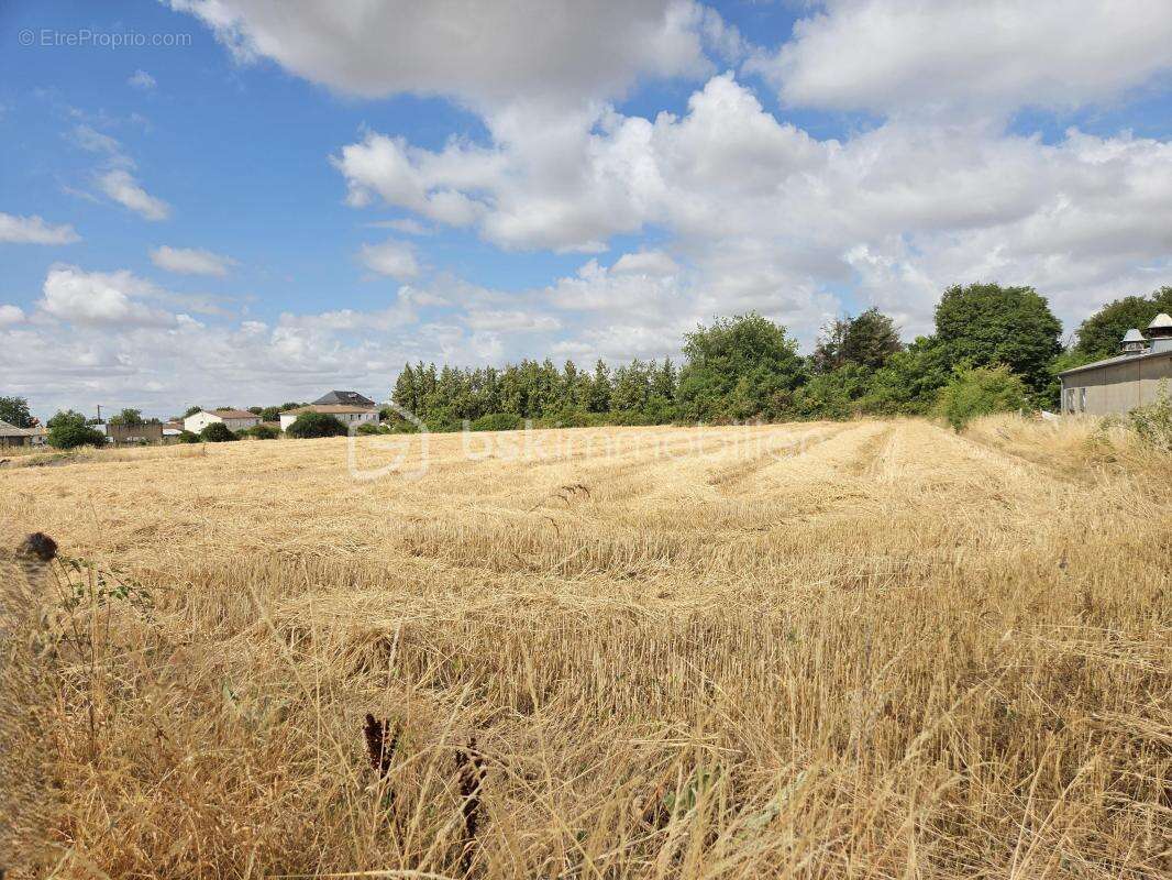 Terrain constructible - photo 4
