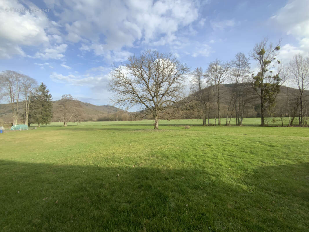 Maison à BELONCHAMP