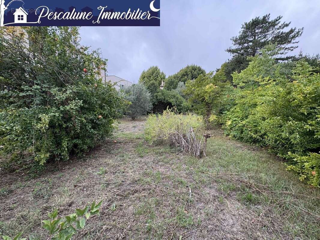 Maison à MARSILLARGUES