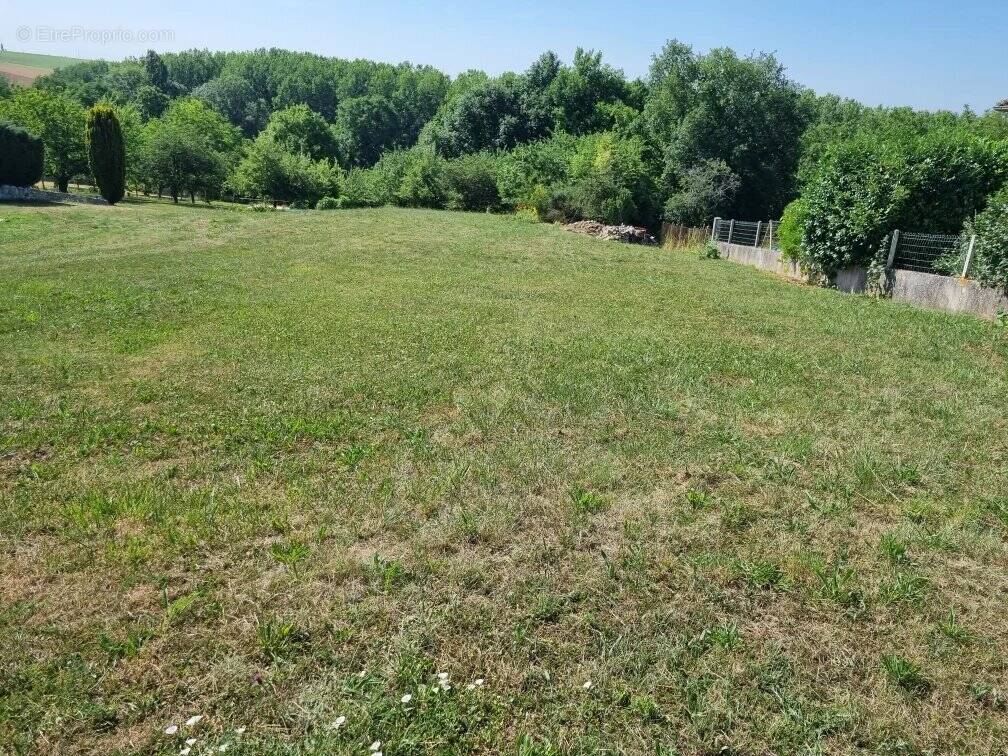 Terrain à LA FERTE-GAUCHER