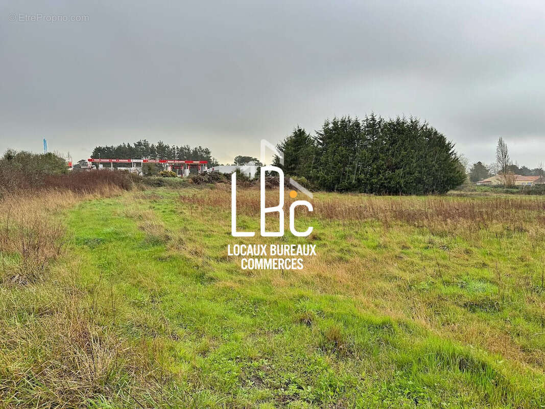 Terrain à BOURGNEUF-EN-RETZ