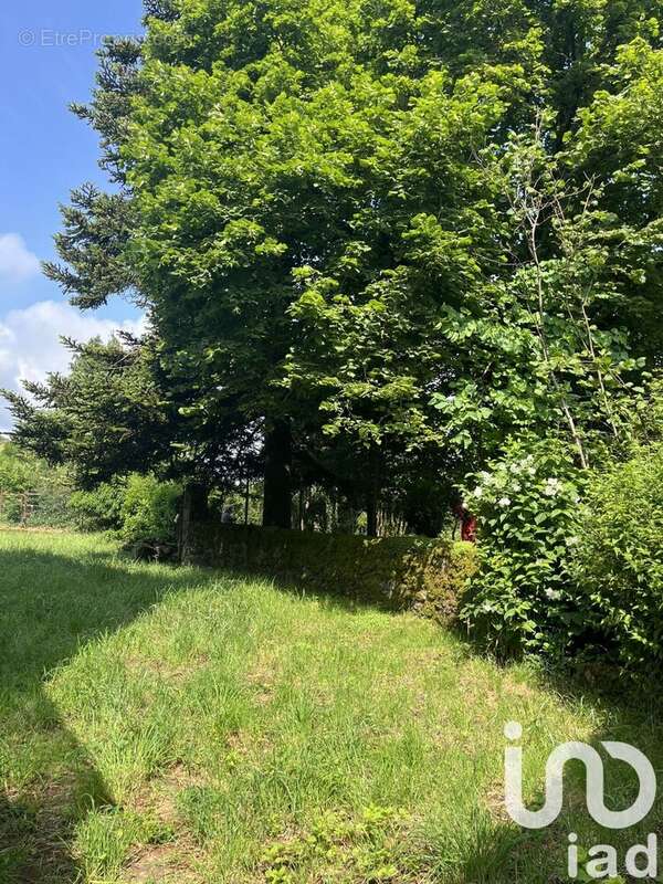 Photo 8 - Maison à CORNUS