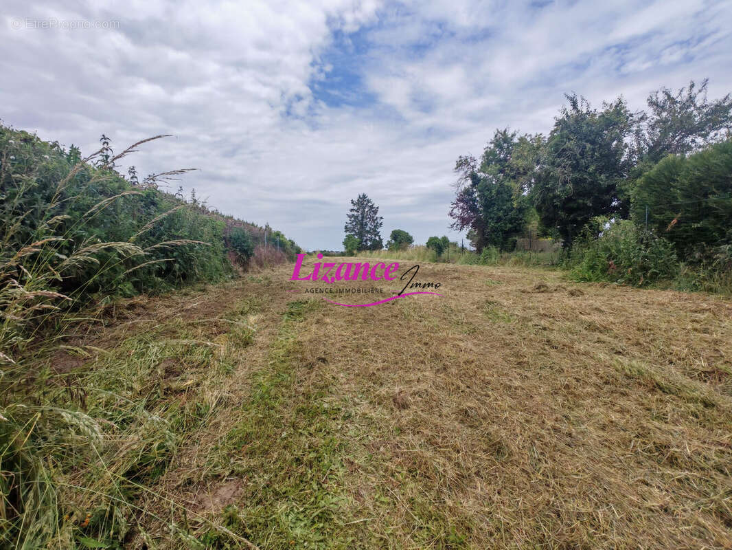 Maison 100 m² à Cantaing-Sur-Escaut  - photo 2