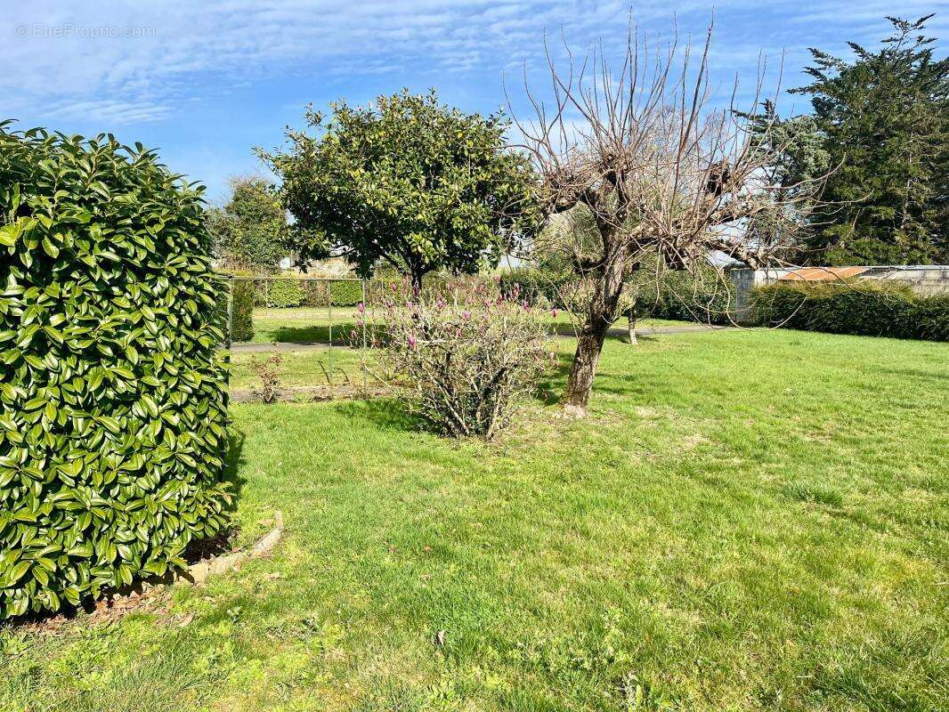 Lucon 85400 au calme et proche toutes commodites agreable maison 4 chambres avec annexe sur 2000m² - photo 13