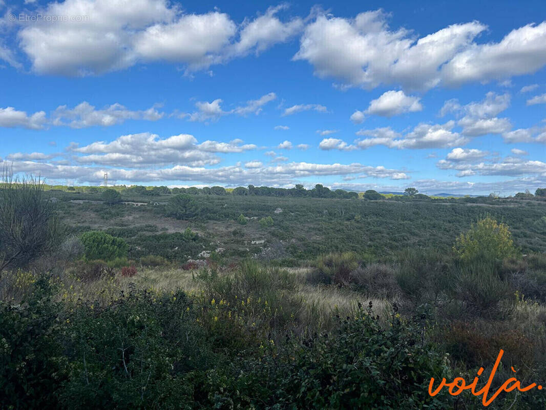 Terrain à CARCASSONNE