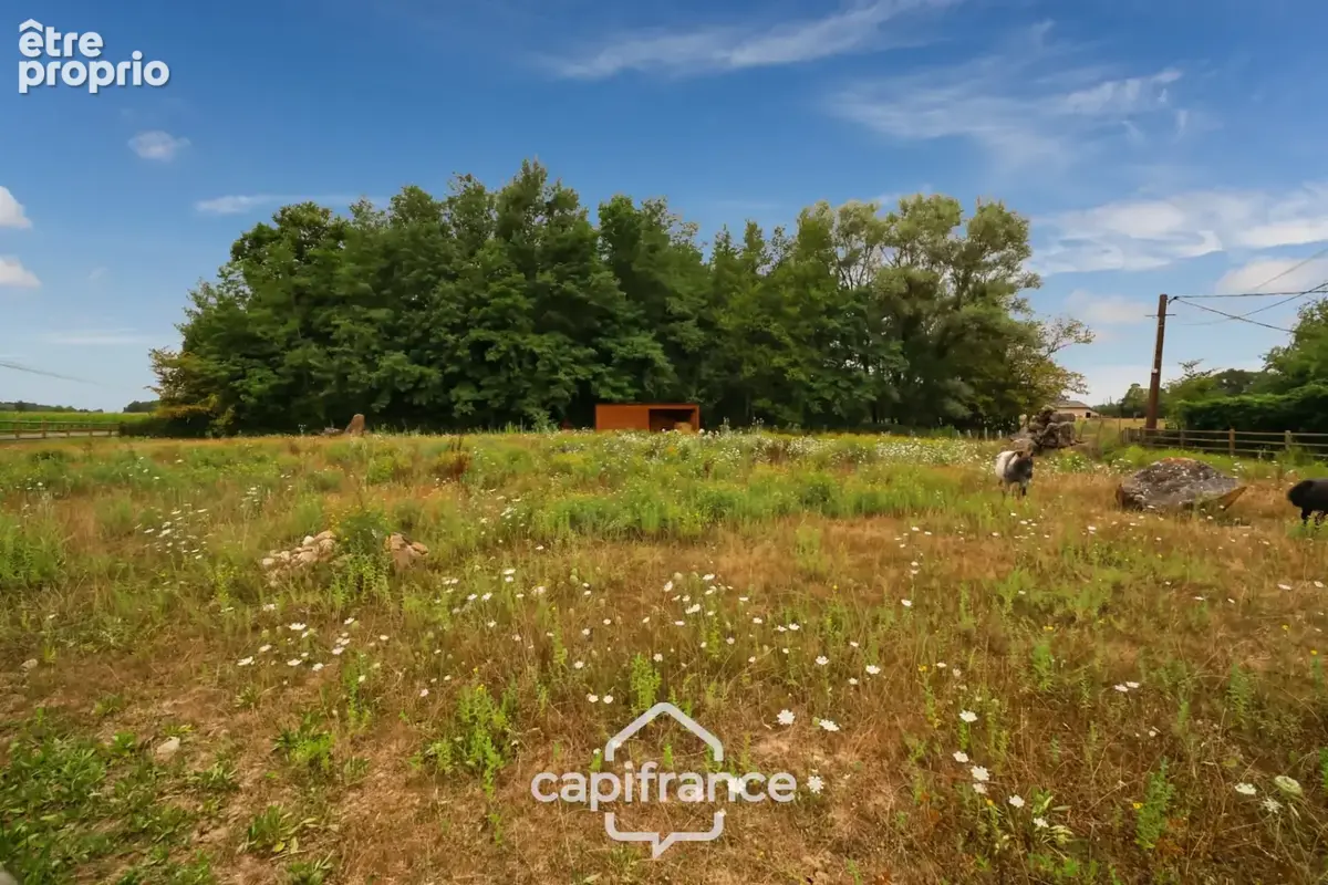 Maison en pierre au calme avec piscine, 5 chambres et plus de 1,6 hectare de terrain - Proche Lons-le-Saunier (39000) - photo 16