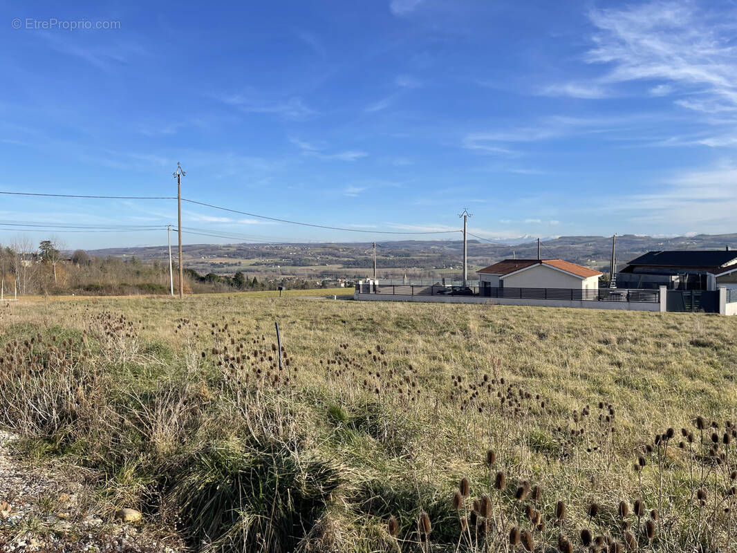 Terrain à LA MOTTE-DE-GALAURE