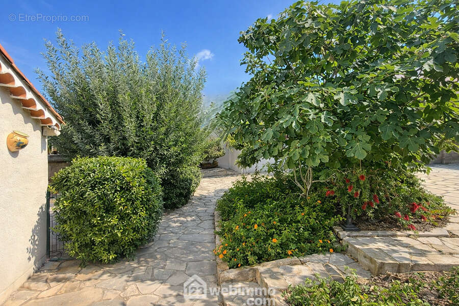 Chemin d?accès paysagé avec abri voiture. - Maison à SAINTE-MAXIME