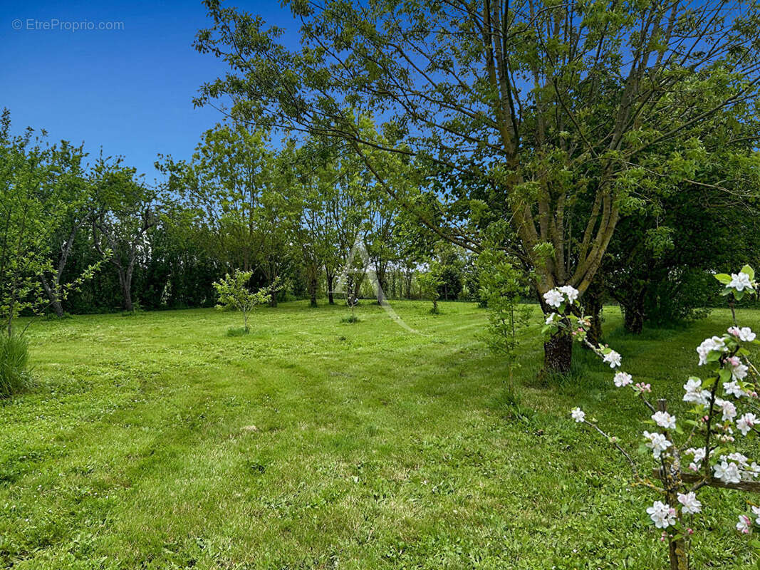 Maison à CHAILLE-LES-MARAIS