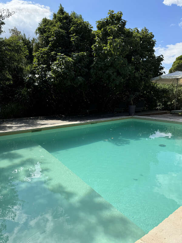 Proche de l'isle sur la sorgue, une propriété au fil de l'eau - photo 26