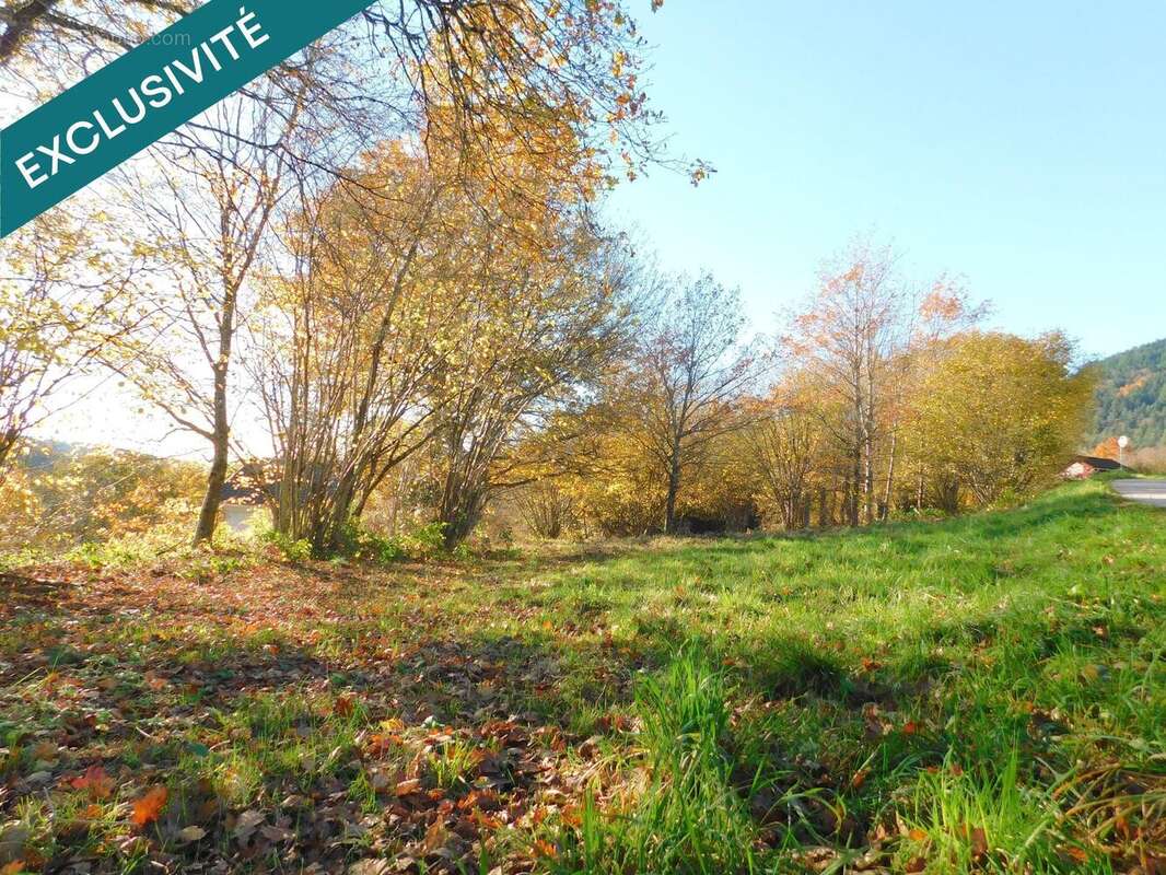 Photo 5 - Terrain à SENONES