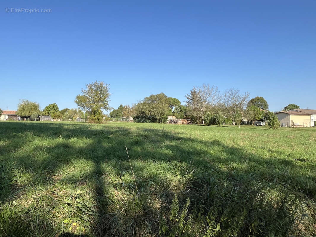 Terrain à SAINT-SAUVEUR-DE-PUYNORMAND
