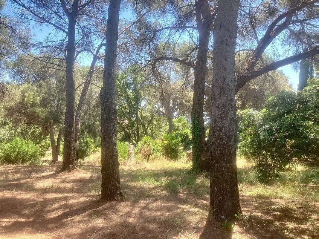 Terrain à LA CROIX-VALMER