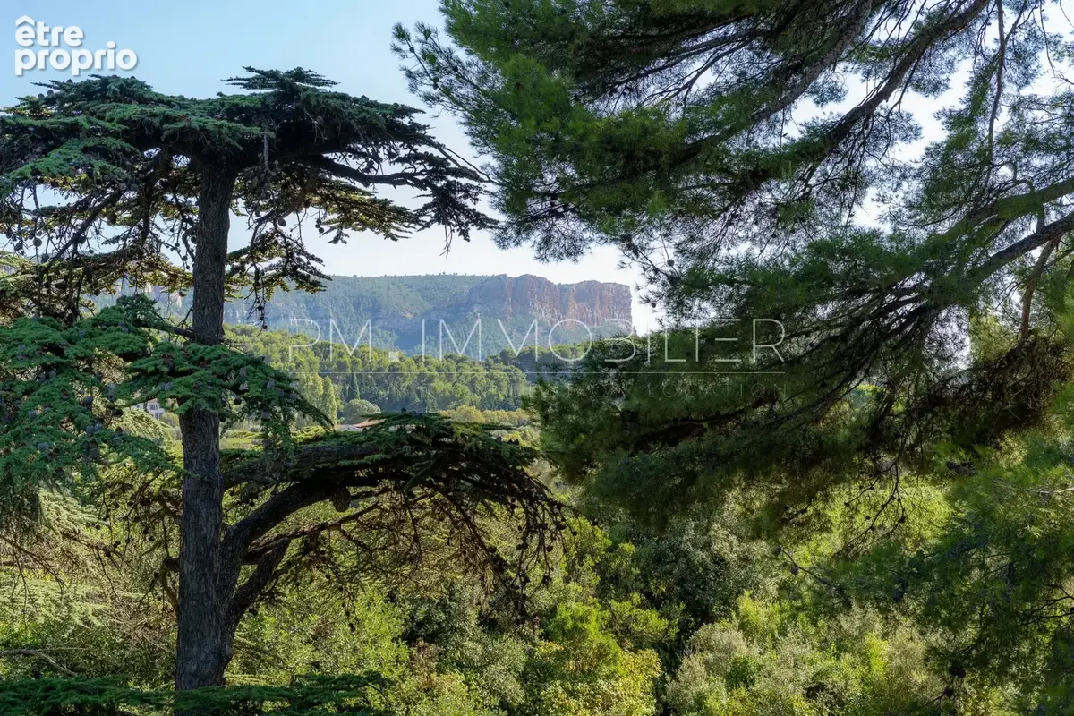 La bastide des cèdres - photo 33
