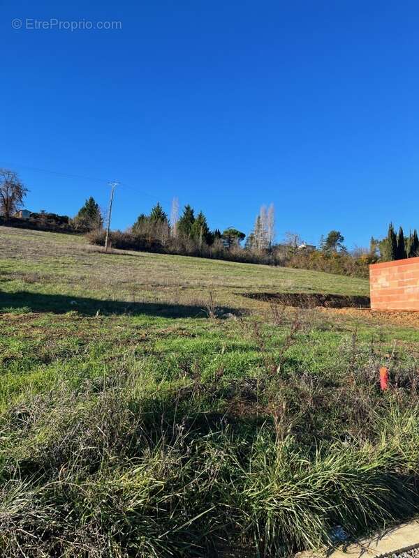 Terrain à RABASTENS