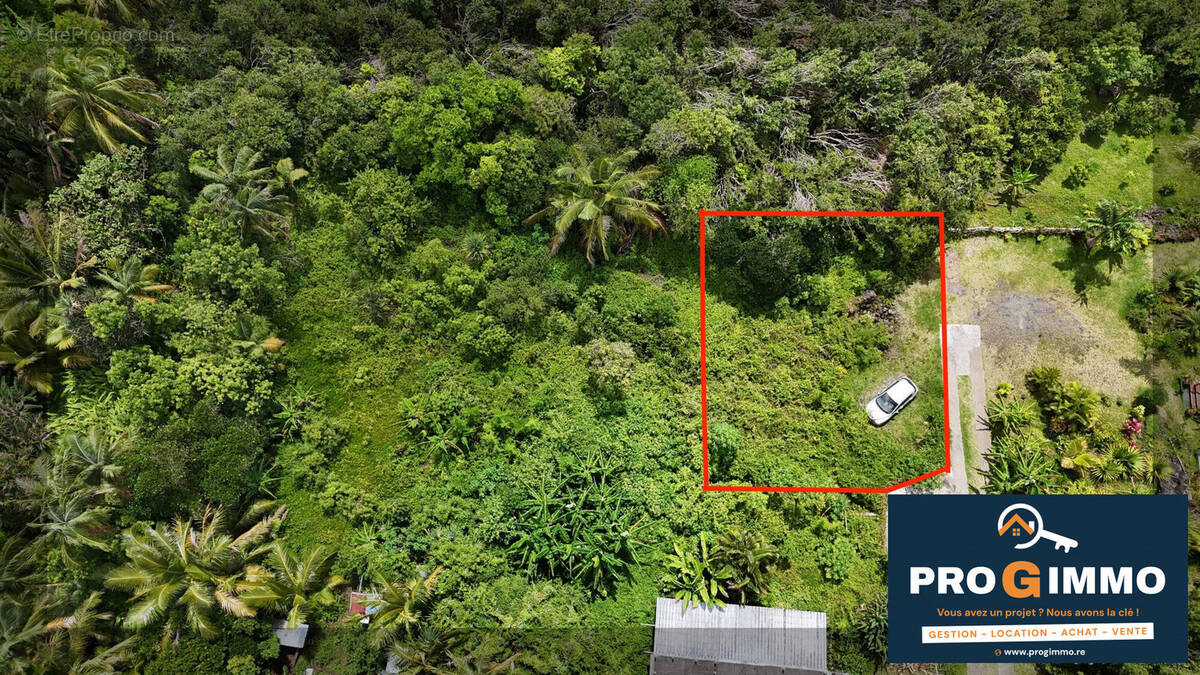 Terrain à SAINT-PHILIPPE