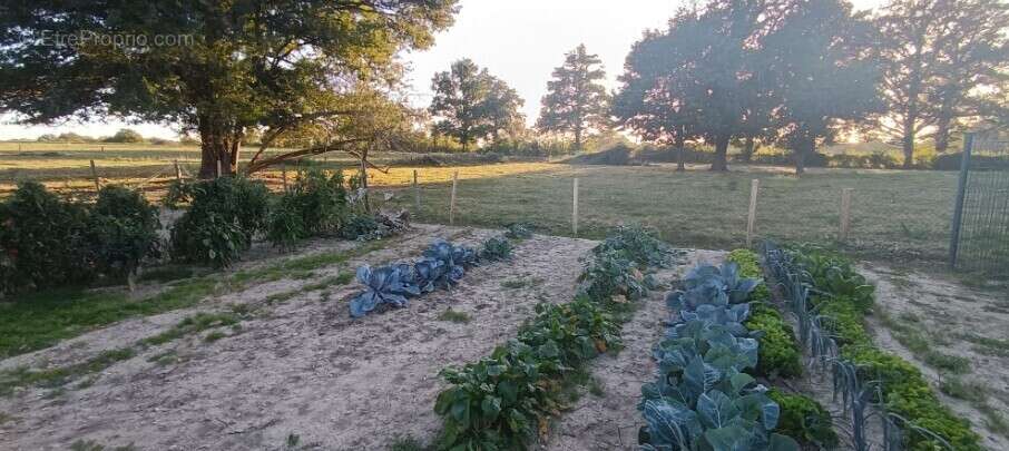 Maison à NOUZERINES