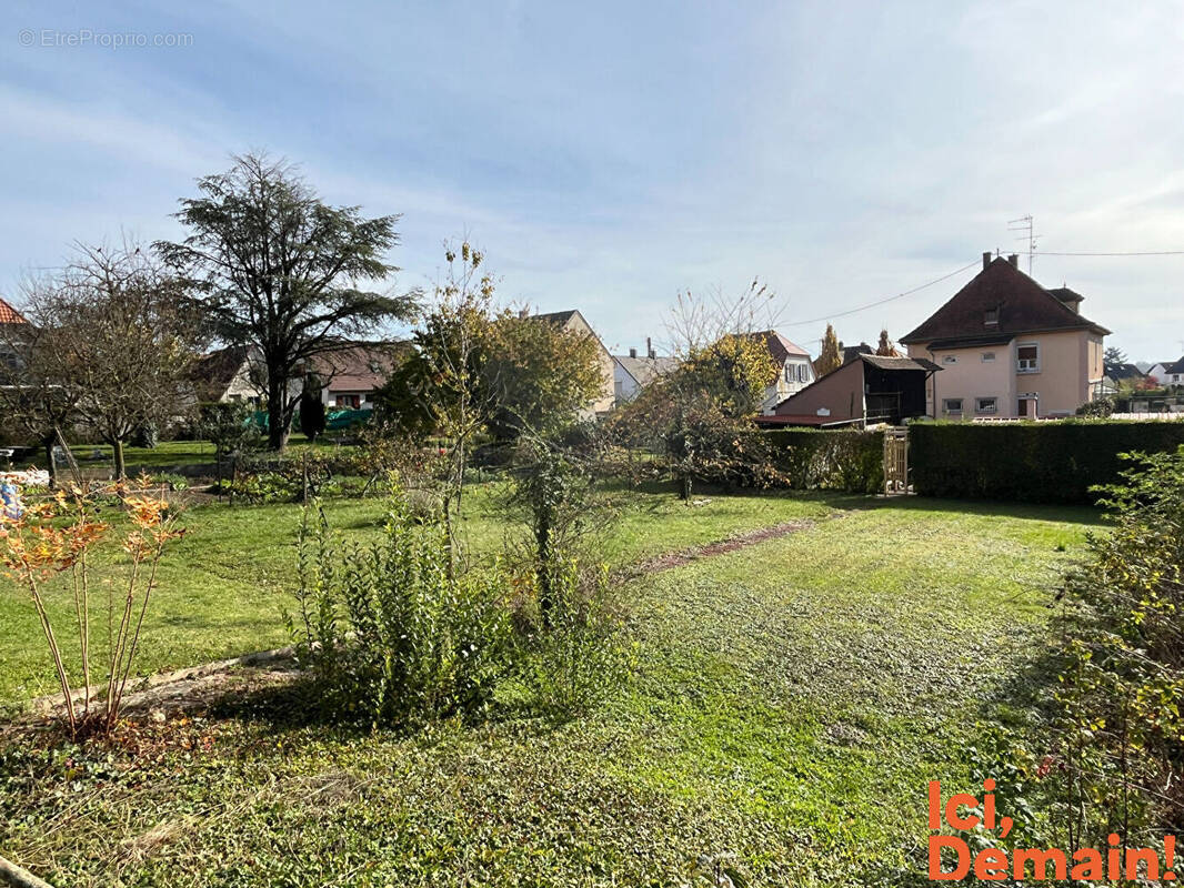 Terrain à OBERSCHAEFFOLSHEIM