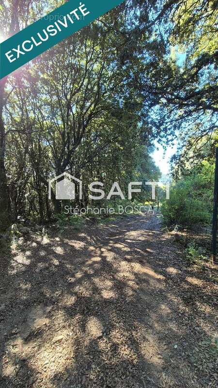 Photo 2 - Terrain à PIETROSELLA