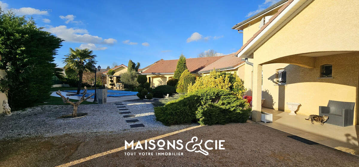 Maison à MONTALIEU-VERCIEU