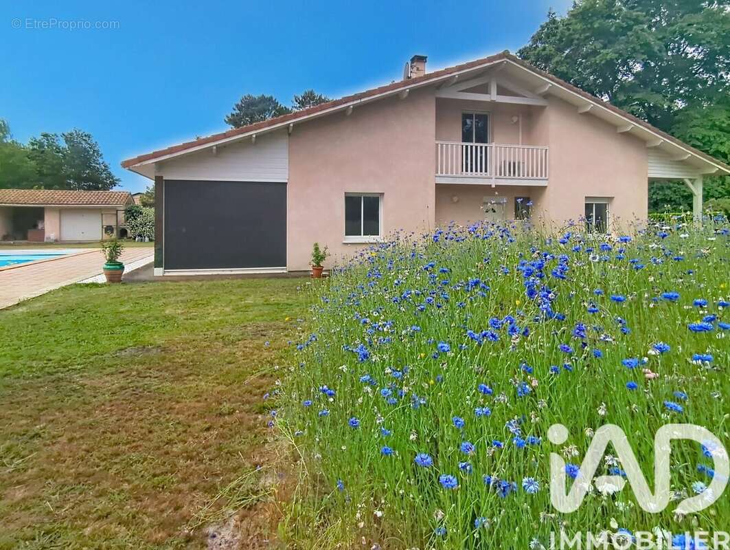 Photo 3 - Maison à PARENTIS-EN-BORN