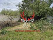 Photo 1 - Maison à CLUNY