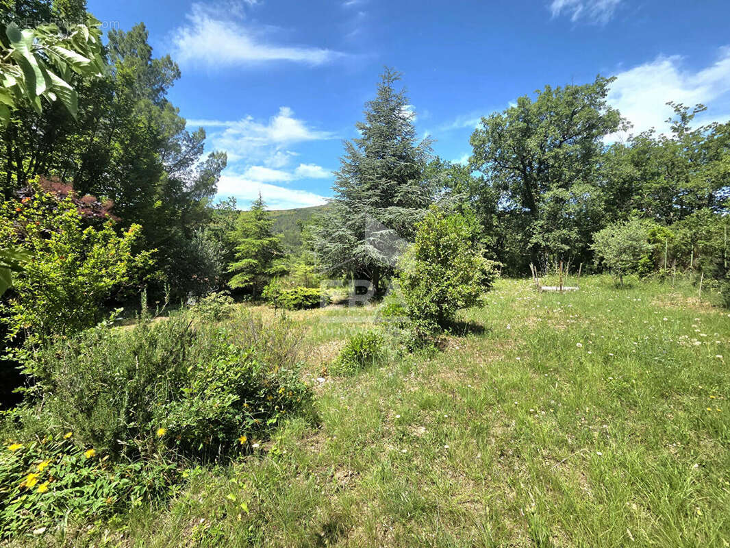 Maison 206m² à luc-sur-aude - photo 13
