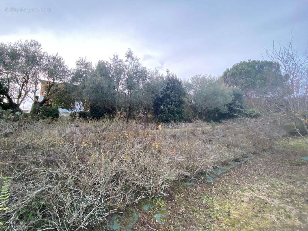 Terrain à GENISSIEUX