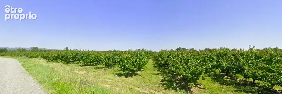 Terrain 245 m² à vendre à Villemolaque (66300) - photo 2