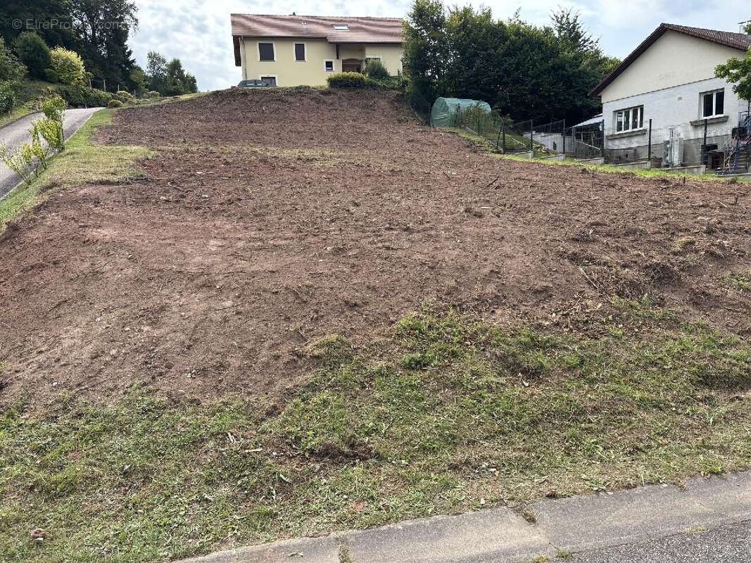 Terrain à DENEUVRE