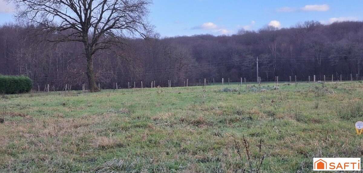 Photo 5 - Terrain à CUISEAUX