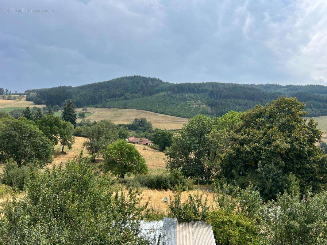 Maison à vendre 6 pièces Proche de LAMURE SUR AZERGUES (69) - photo 3