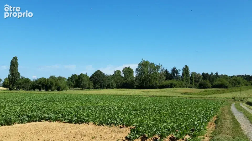Terrain 473 m² à Boullay-Les-Troux  - photo 3