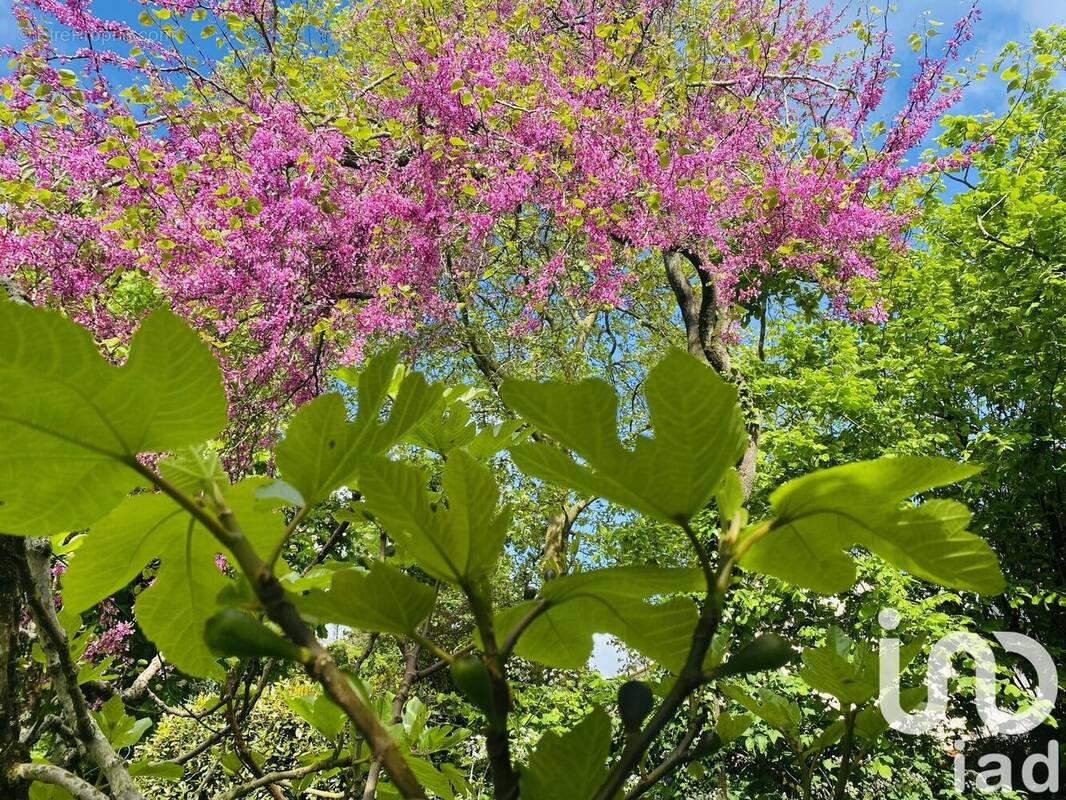 Photo 1 - Maison à SAINT-HERBLAIN