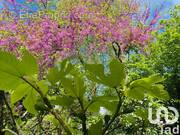 Photo 1 - Maison à SAINT-HERBLAIN