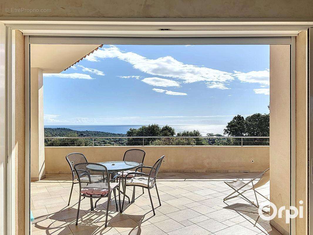 Maison à PORTO-VECCHIO