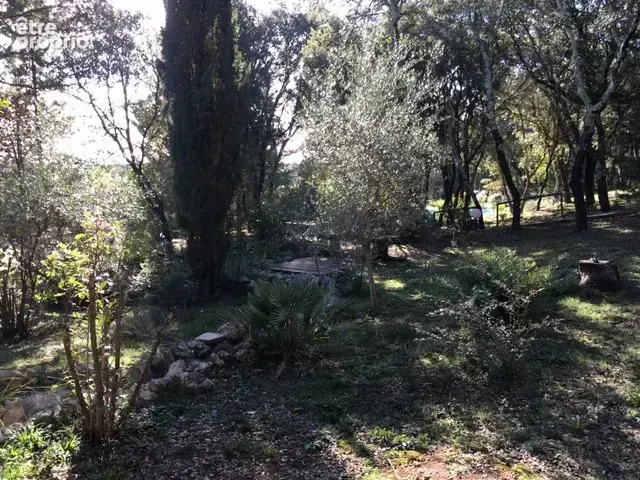  MAS 750 m2. Terrain 7 Hectares. - photo 96